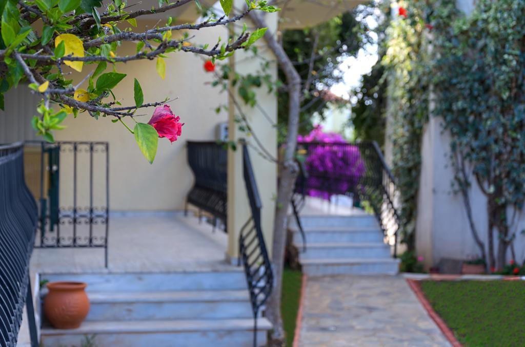 חראני Anesis Apartments מראה חיצוני תמונה
